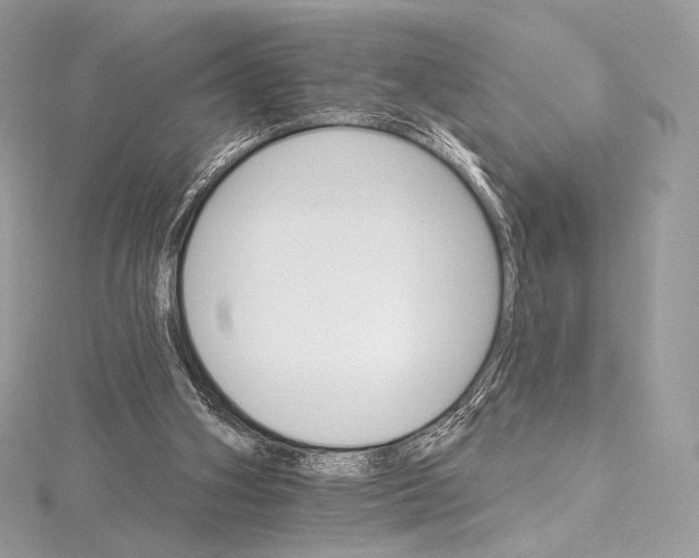 X0000115650106200912081133