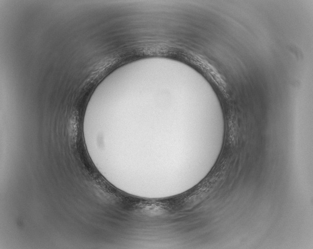 X0000115650113200912081133