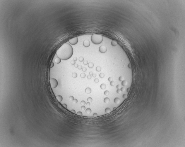 X0000115650115200912081133