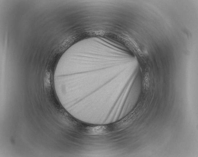X0000115650122200912081133
