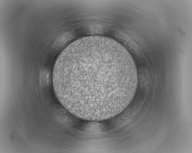 X0000115650123200912081133