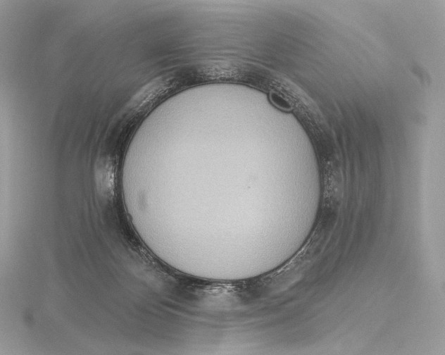 X0000115650124200912081133