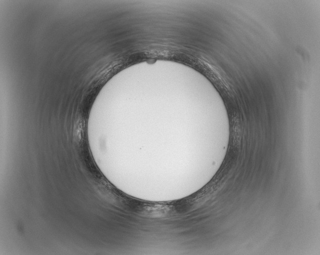 X0000115650125200912081133