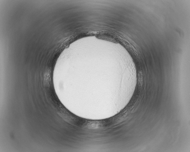 X0000115650127200912081133