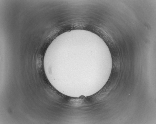 X0000115650133200912081133