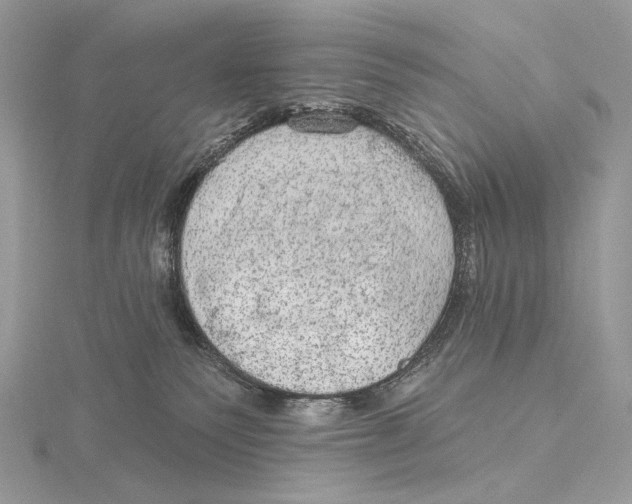 X0000115650135200912081133