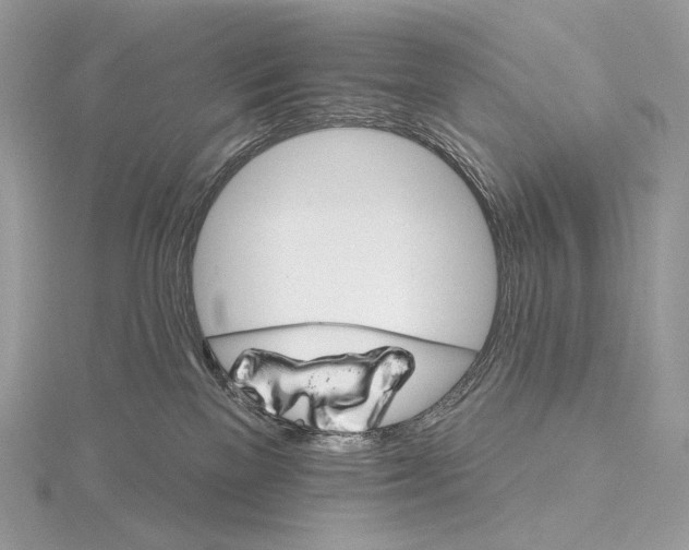 X0000115650137200912081132