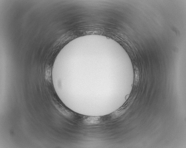 X0000115650138200912081132