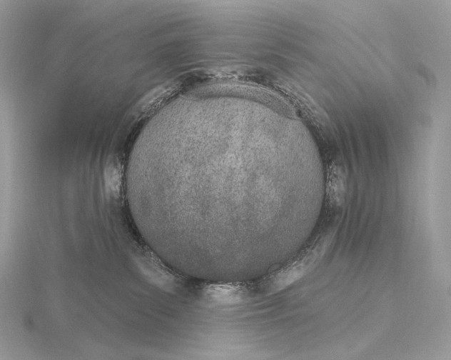 X0000115650139200912081132