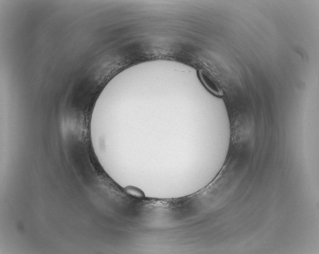 X0000115650140200912081132