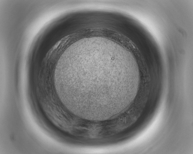 X0000115650143200912081132