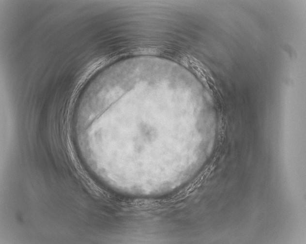 X0000115650145200912081132