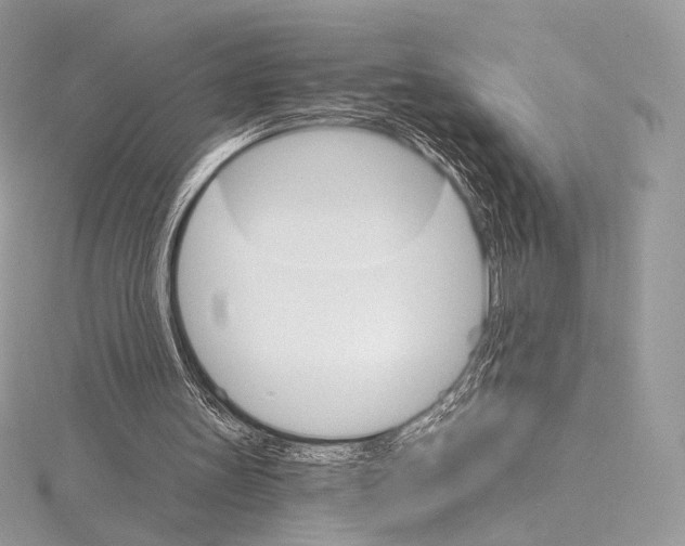 X0000115650147200912081132