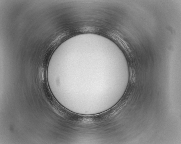 X0000115650157200912081132