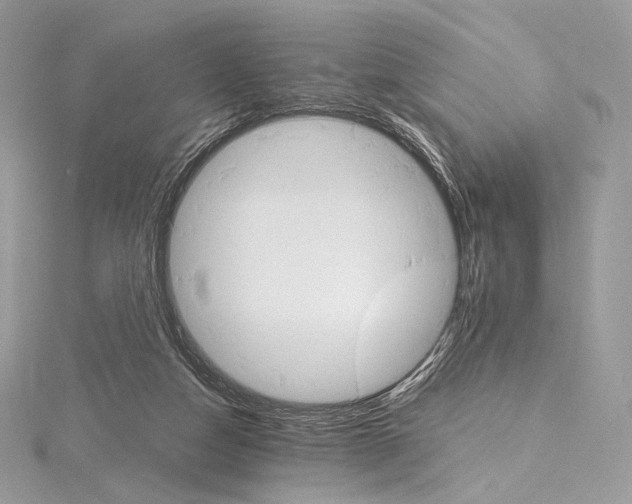 X0000115650162200912081132