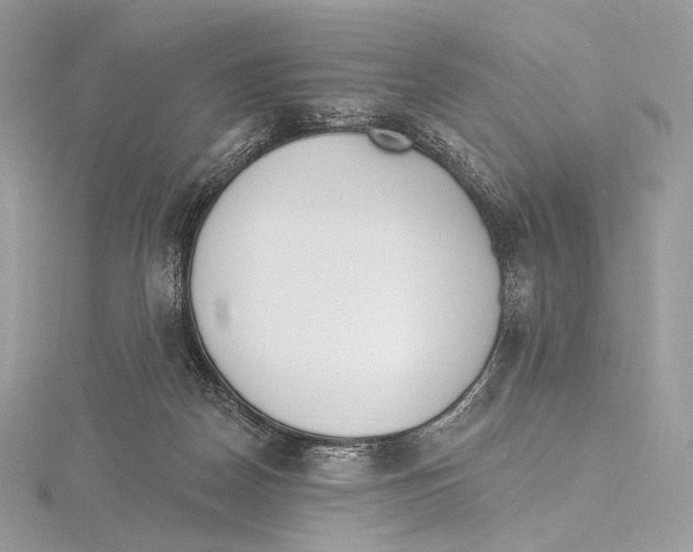 X0000115650170200912081132