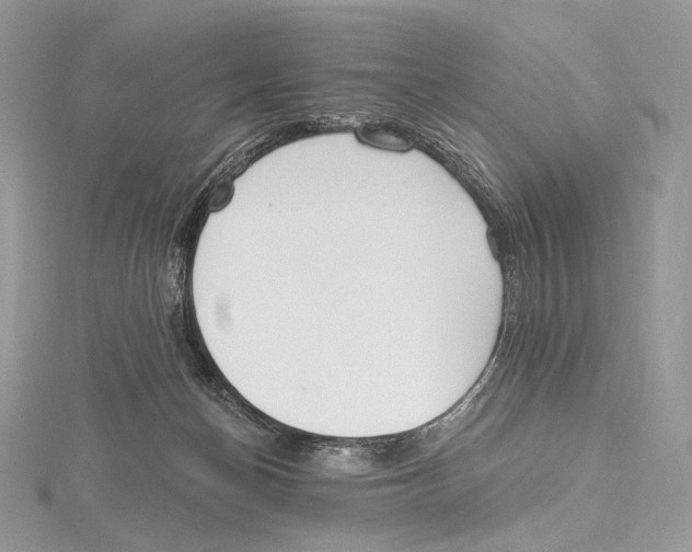 X0000115650174200912081132