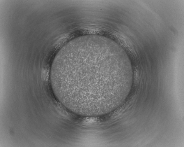 X0000115650177200912081132