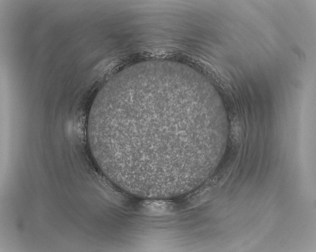 X0000115650181200912081132
