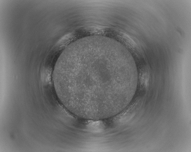 X0000115650185200912081132