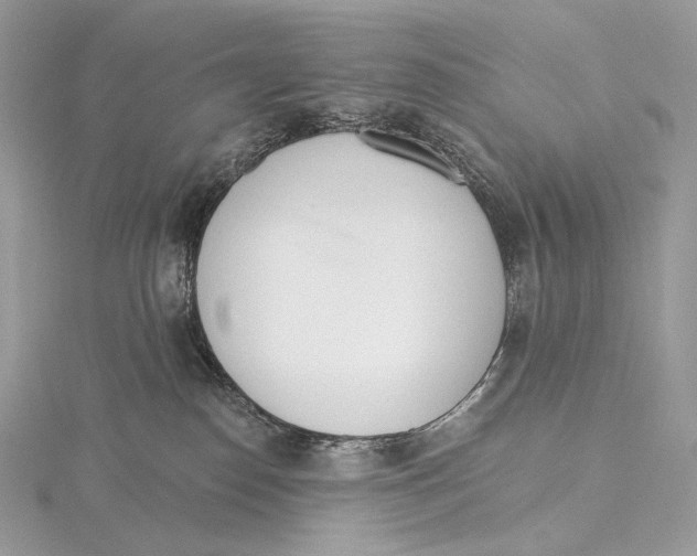 X0000115650186200912081132