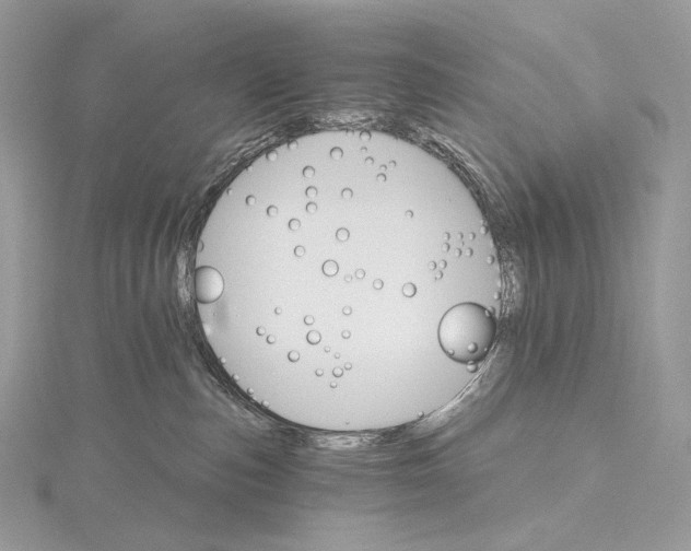 X0000115650187200912081132