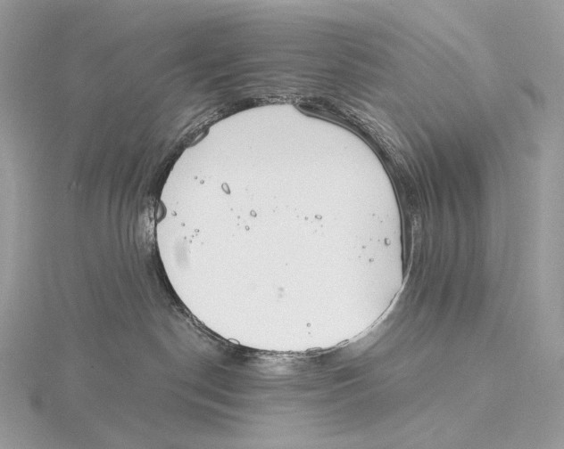 X0000115650190200912081132