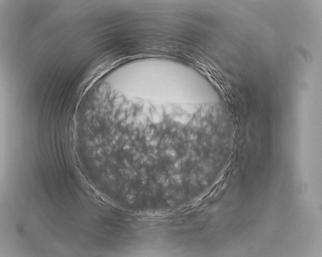 X0000115650194200912081132