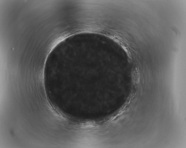 X0000115650196200912081132