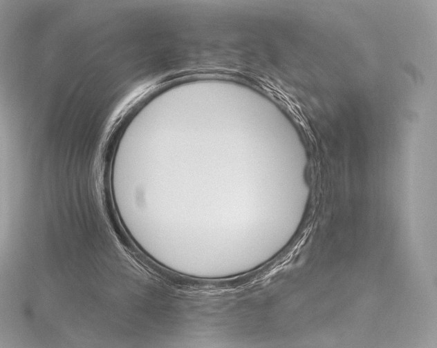 X0000115650197200912081132