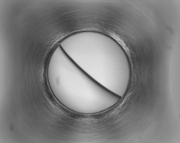 X0000115650201200912081132