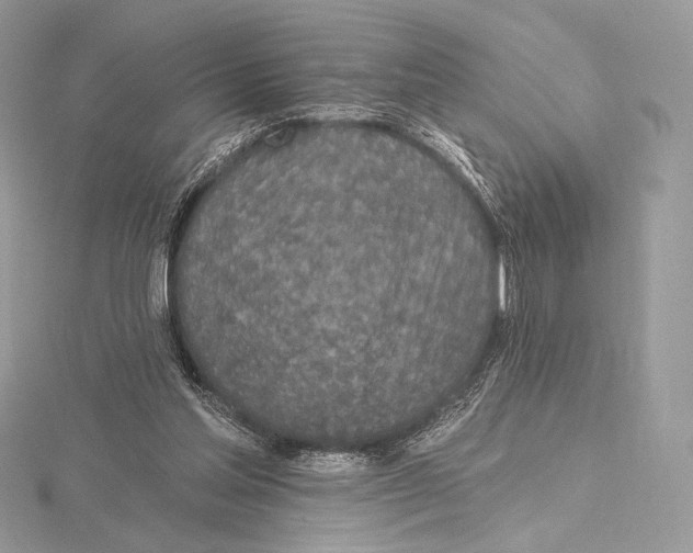 X0000115650205200912081132