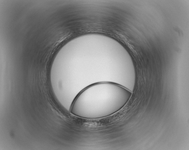 X0000115650211200912081132