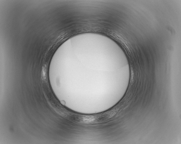 X0000115650214200912081132