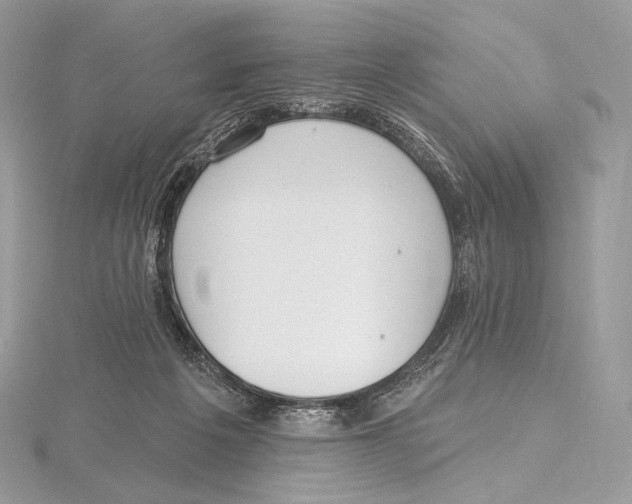 X0000115650217200912081131