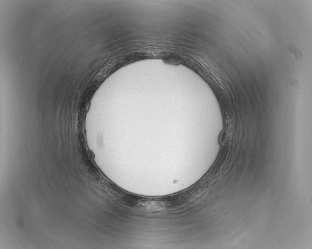 X0000115650221200912081131