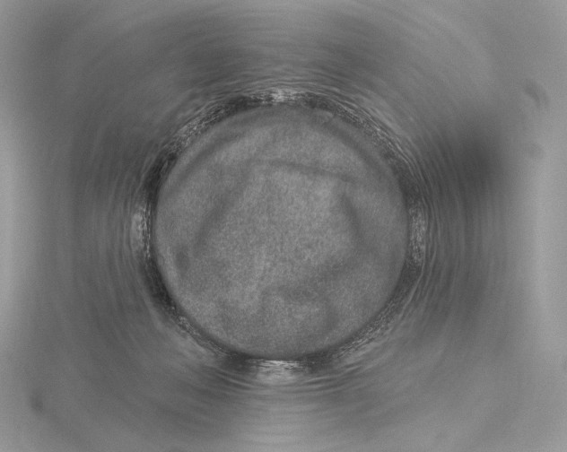 X0000115650222200912081131