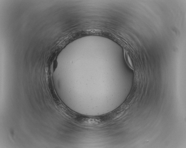X0000115650223200912081131