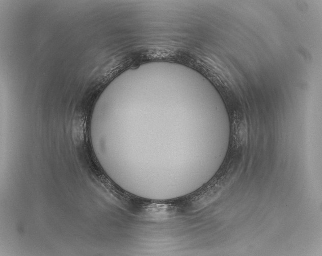 X0000115650227200912081131