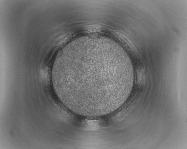 X0000115650228200912081131