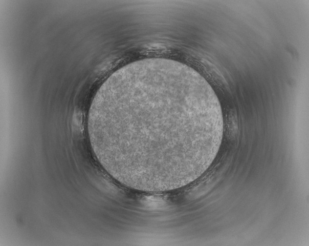 X0000115650232200912081131