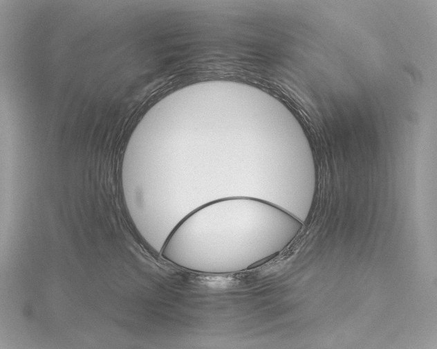 X0000115650233200912081131