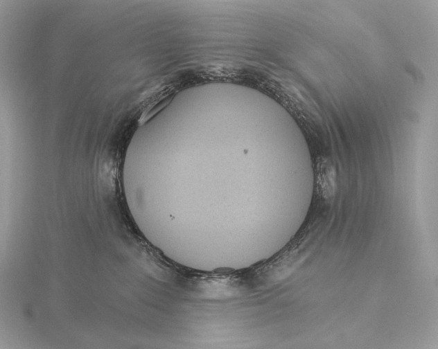 X0000115650235200912081131