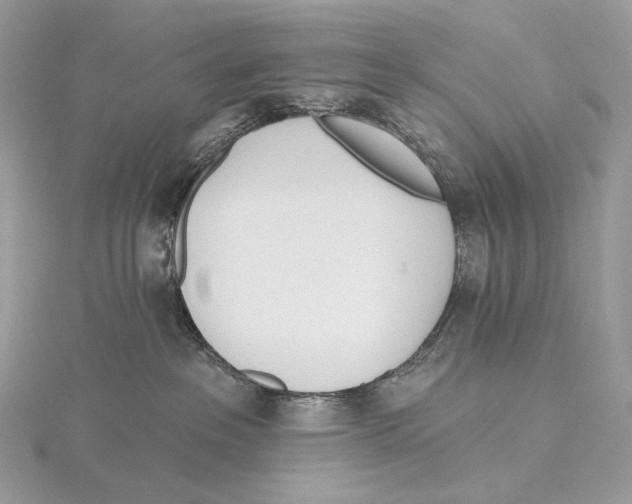 X0000115650237200912081131