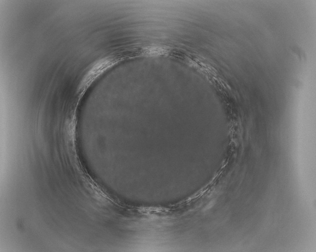 X0000115650242200912081131