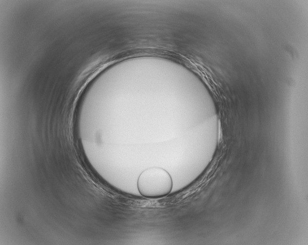 X0000115650243200912081131