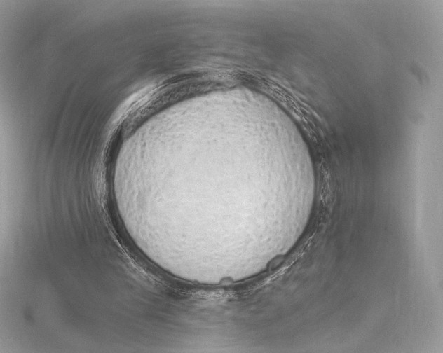 X0000115650245200912081131