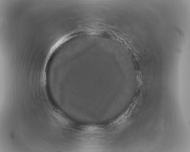 X0000115650246200912081131