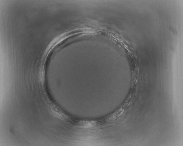 X0000115650247200912081131