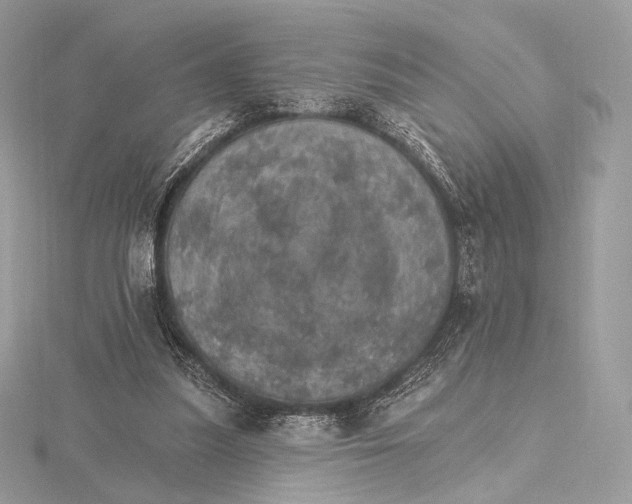 X0000115650251200912081131